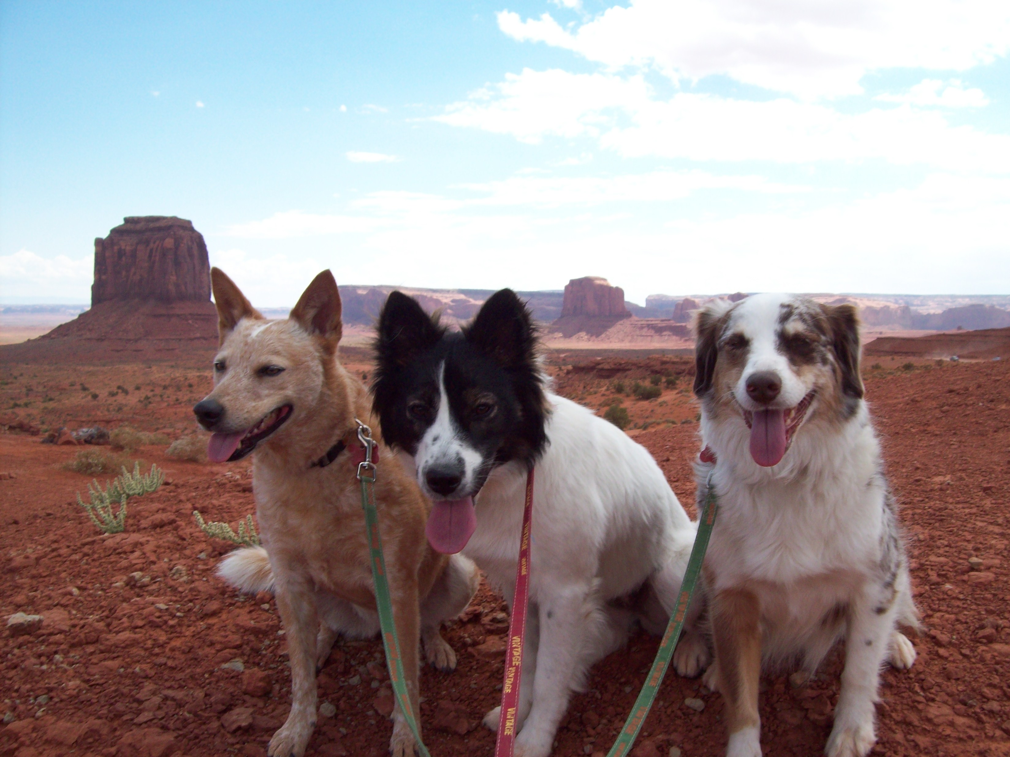 The Girls in Monument Valley