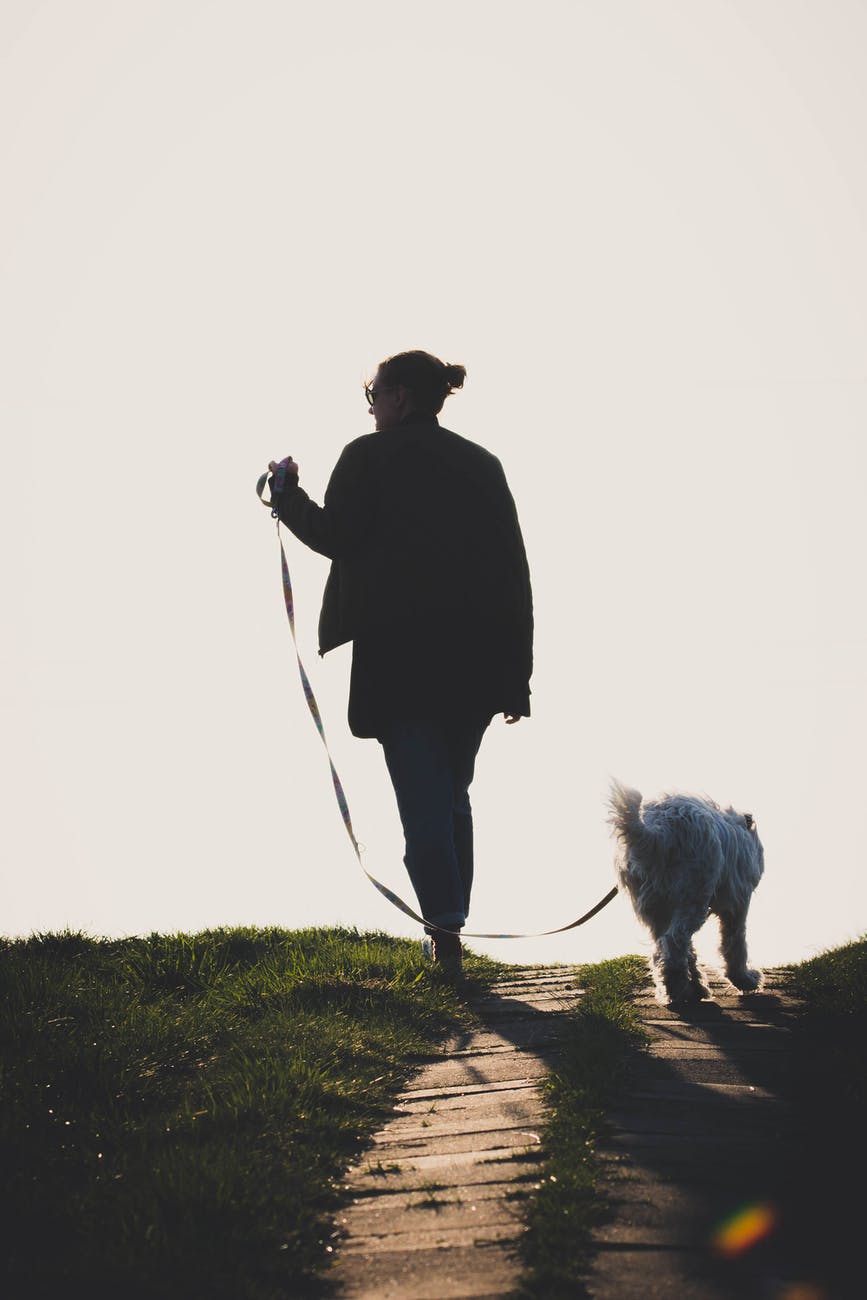 silhouette of a woman walking her dog on uphill pathway